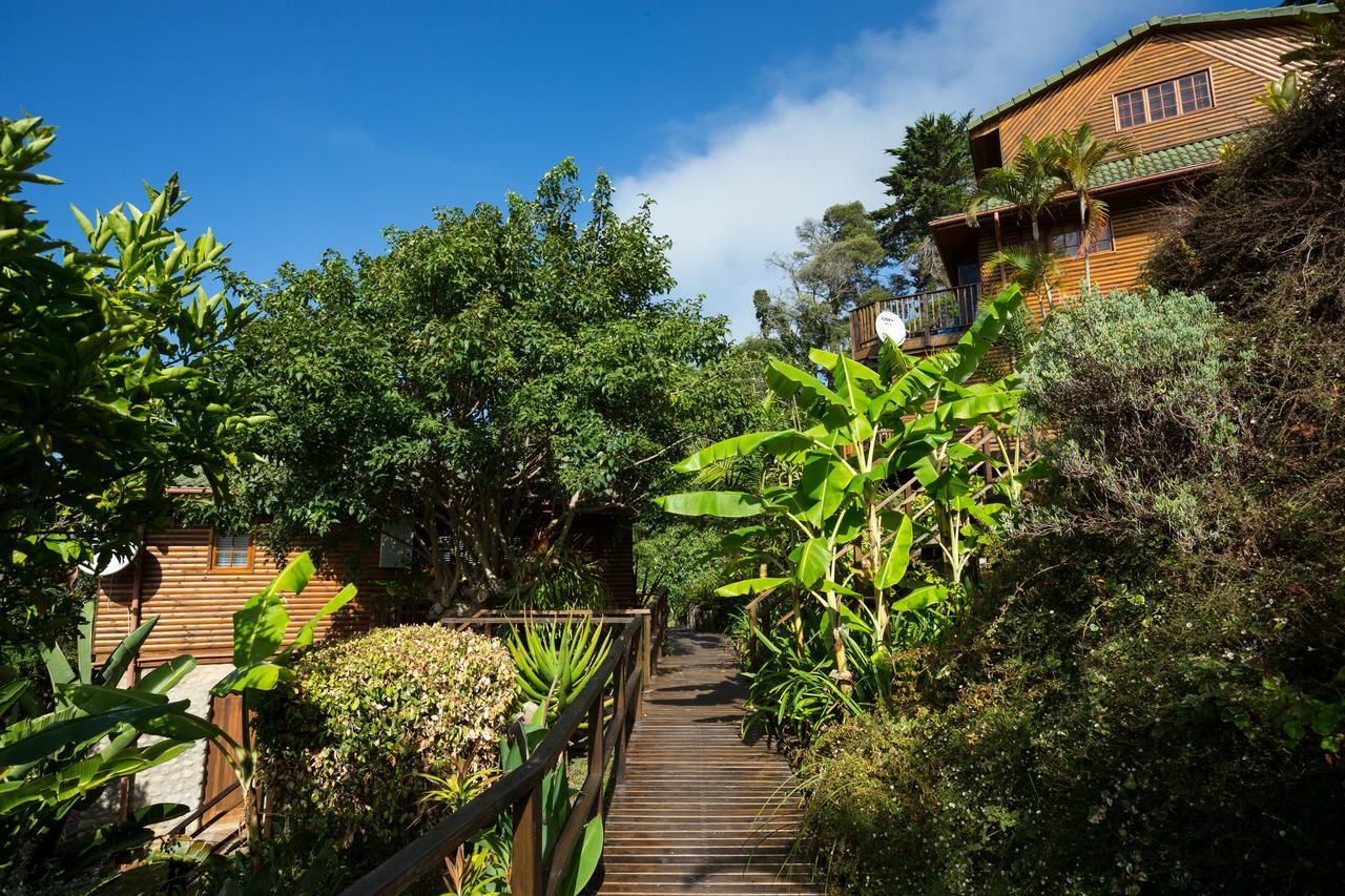 Big Tree House Lodge Найсне Экстерьер фото