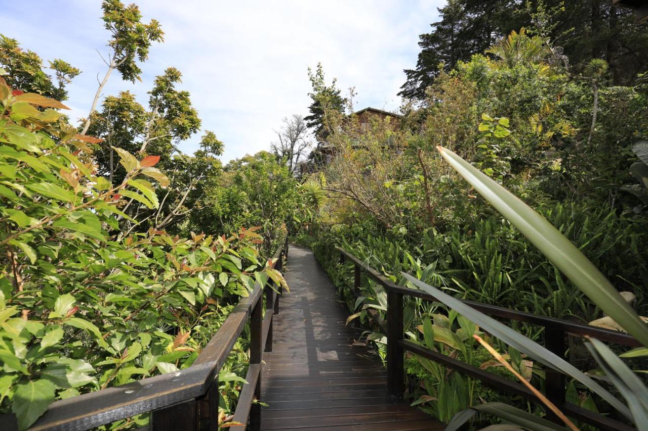 Big Tree House Lodge Найсне Экстерьер фото